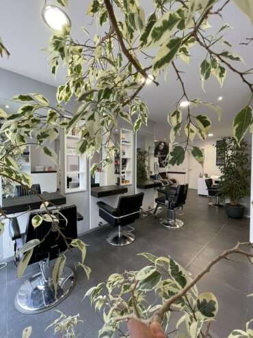 Photographie des salons de coiffures